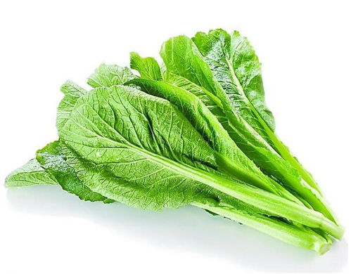 果蔬食品加工機(jī)械廠家直供 本信息長(zhǎng)期有效