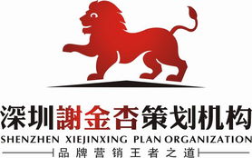 深圳謝金杏市場營銷策劃 精準定位與創新驅動的品牌賦能之道